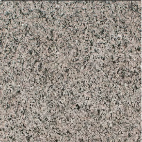Caledonia - granite countertop